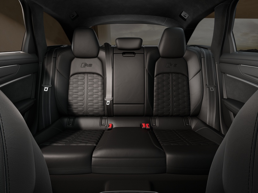 Obrázek RS 6 Avant perf. TFSI 463 kW quattro