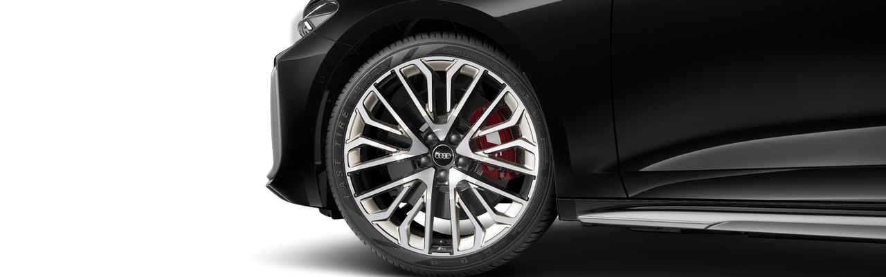 Obrázek S5 Avant TFSI quattro 270 kW