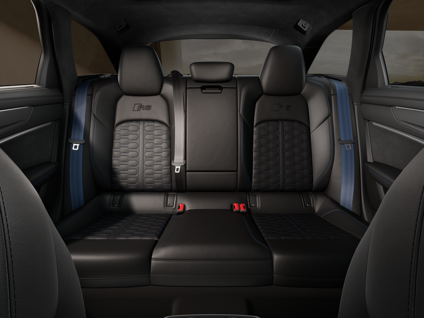 Obrázek RS 6 Avant perf. TFSI 463 kW quattro