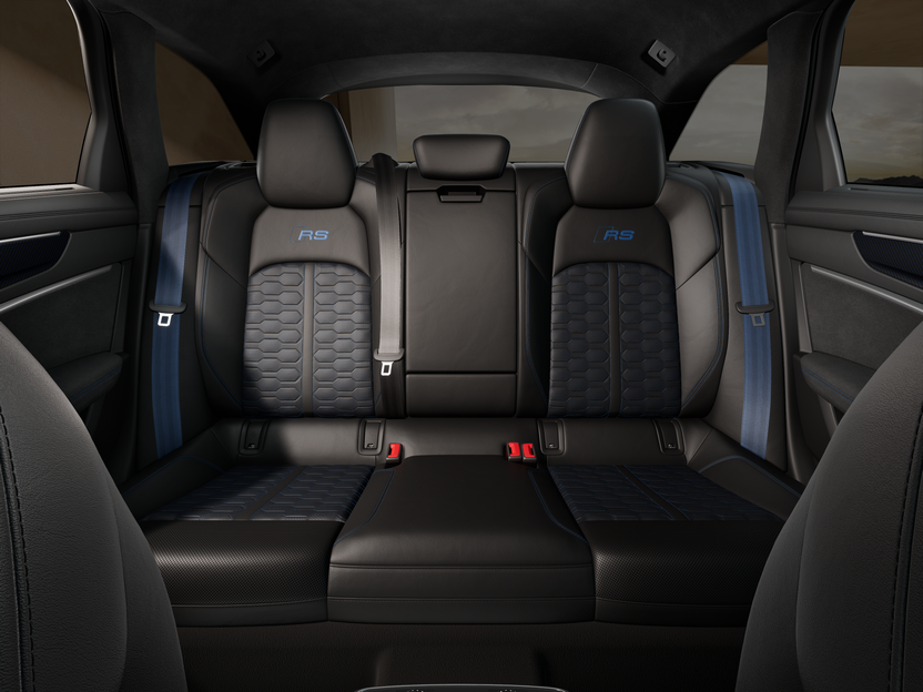 Obrázek RS 6 Avant perf. TFSI 463 kW quattro