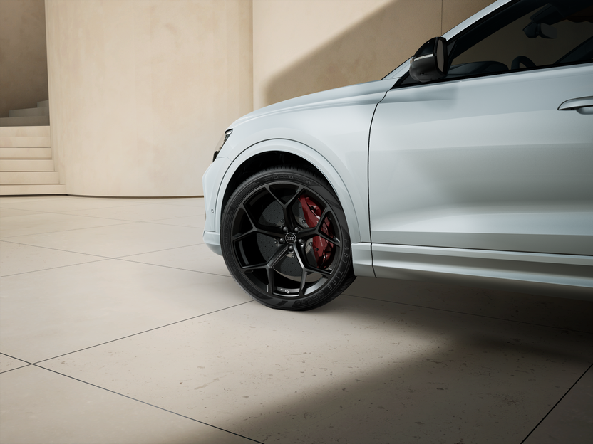 Obrázek RS Q8 SUV TFSI performance quattro