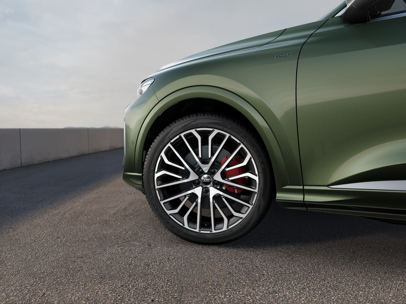 Obrázek Q5 e-hybrid quattro 220 kW