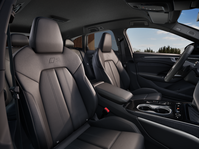 Obrázek A6 Avant TDI quattro 220kW