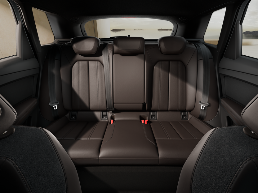 Obrázek Q4 55 e-tron 250 kW q