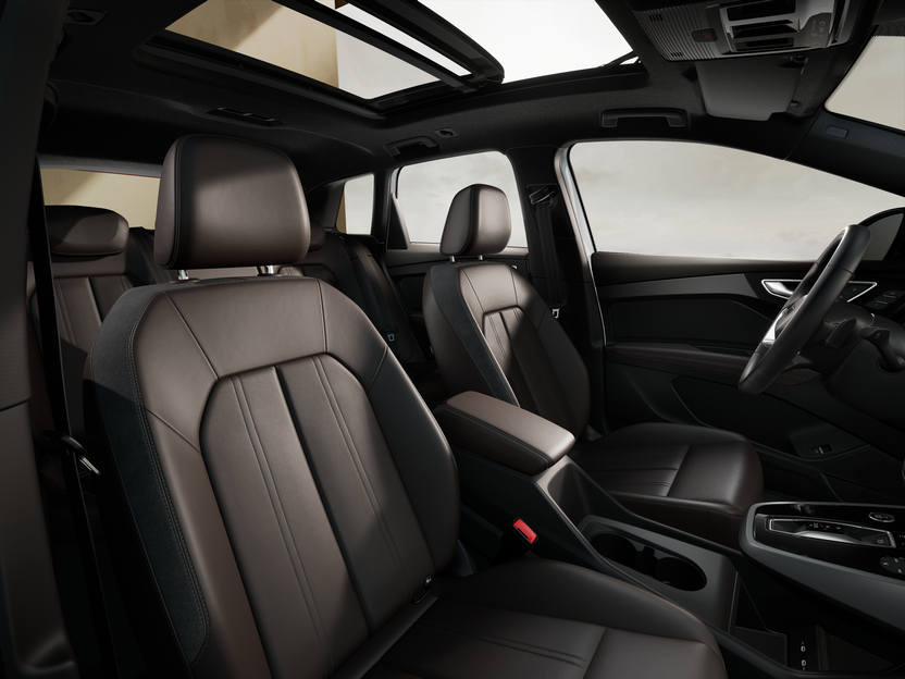 Obrázek Q4 55 e-tron 250 kW q