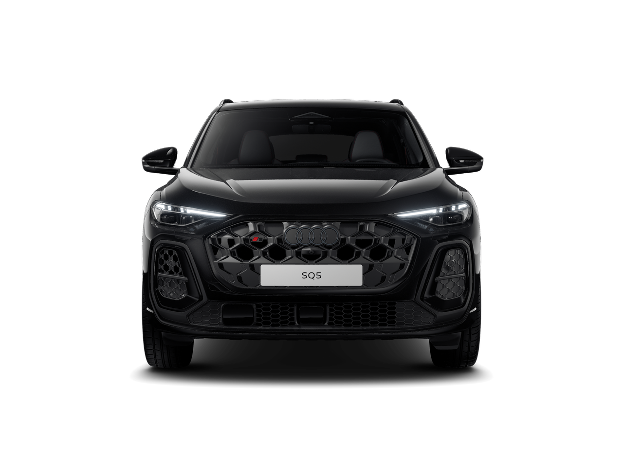 Obrázek SQ5 SB TFSI quattro 270 kW