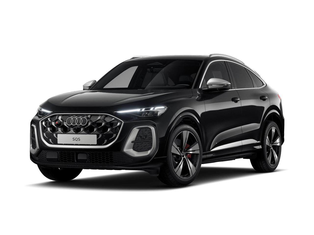 Obrázek SQ5 SB TFSI quattro 270 kW