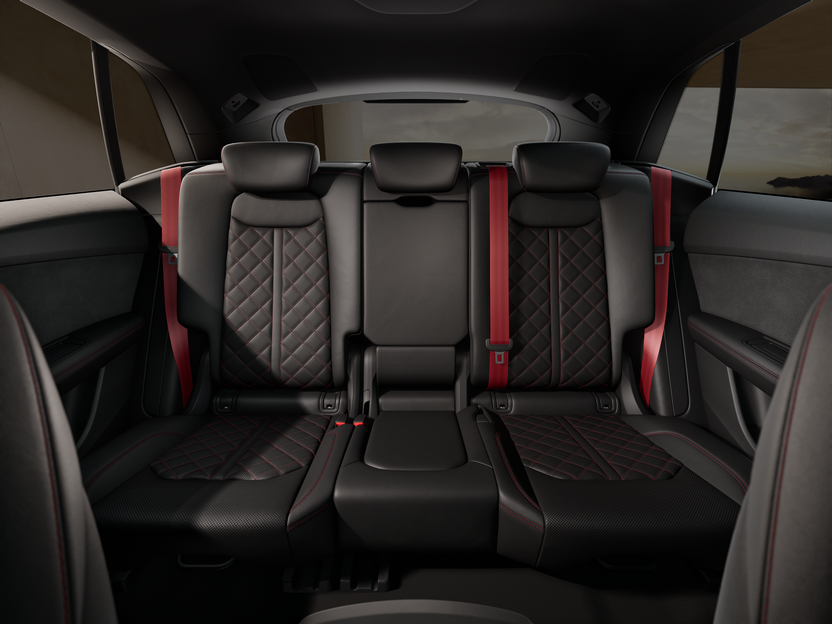 Obrázek Q8 SUV TDI quattro 210 kW