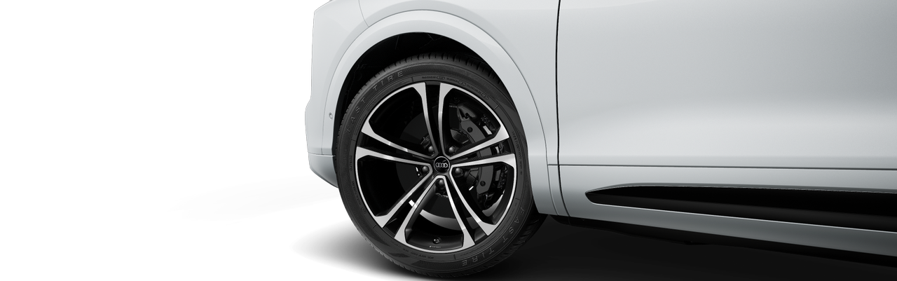 Obrázek Q7 quattro TDI 220 kW