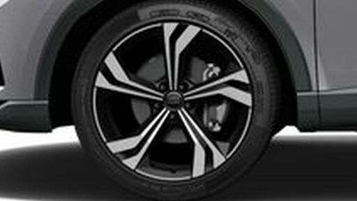 20" litá kola - dvojitý 5paprskový Rotor