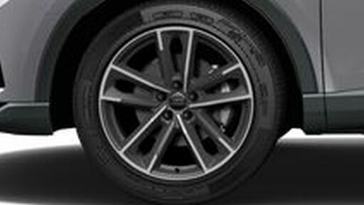 19" litá kola Audi Sport - dvojitý