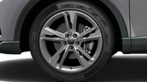 19" litá kola - dvojitý 5paprskový