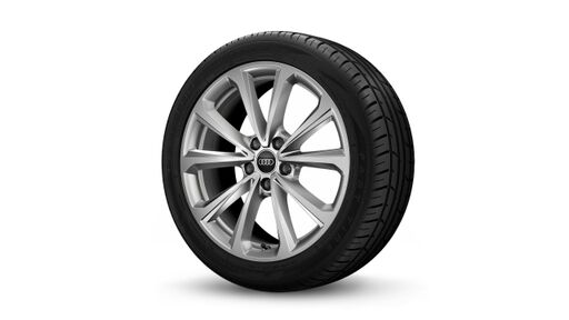18" litá kola - 5 dvojitých paprsků