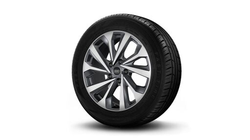 19" litá kola - 5 dvojitých dynamicky