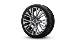 21" litá kola - vícepaprskové S