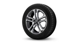 19" litá kola - 5 dvojitých paprsků