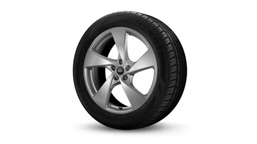 20" litá kola - 5 paprsků