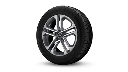 19" litá kola - 5 dvojitých paprsků