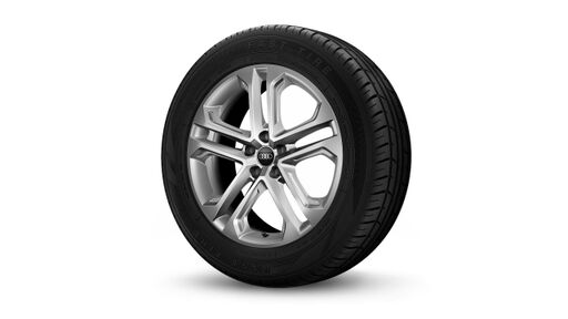 19" litá kola - 5 dvojitých paprsků,