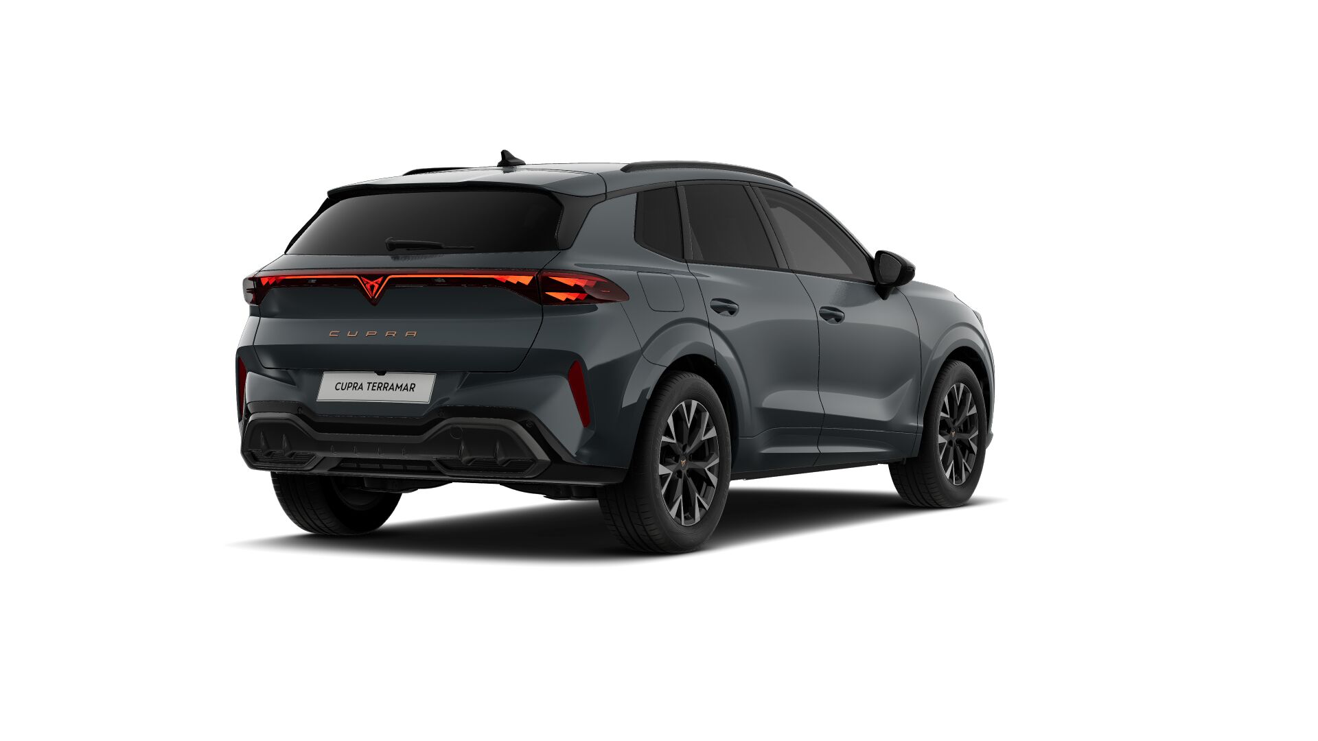 Obrázek Terramar 2.0 TSI 204k DSG 4WD
