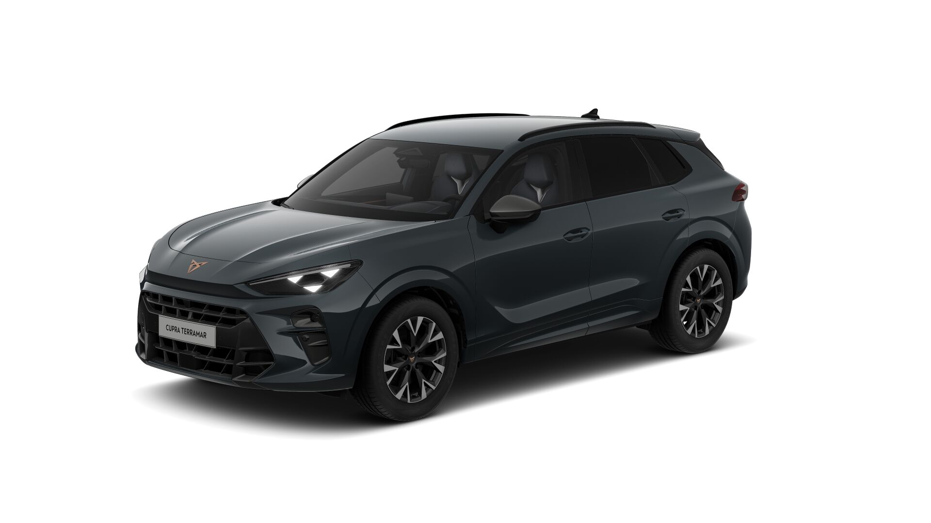 Obrázek Terramar 2.0 TSI 204k DSG 4WD