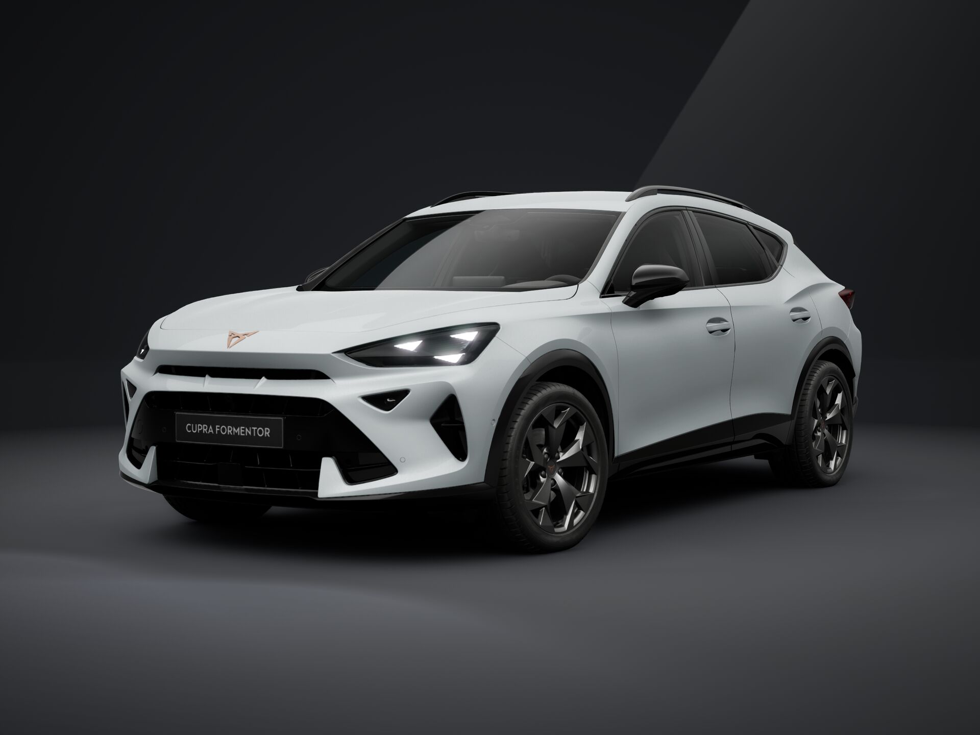 Obrázek Formentor 2.0 TSI 204k DSG 4WD