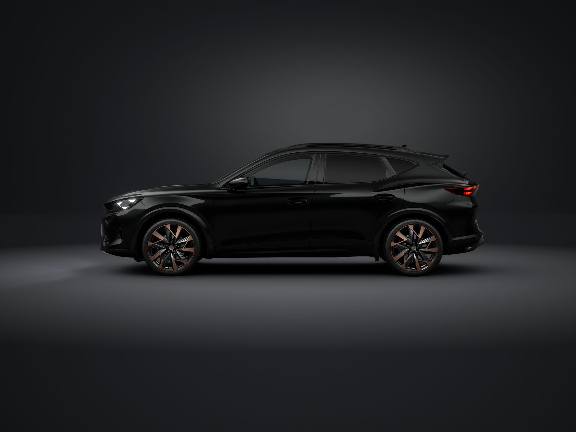 Obrázek Formentor 2.0 TSI 204k DSG 4WD