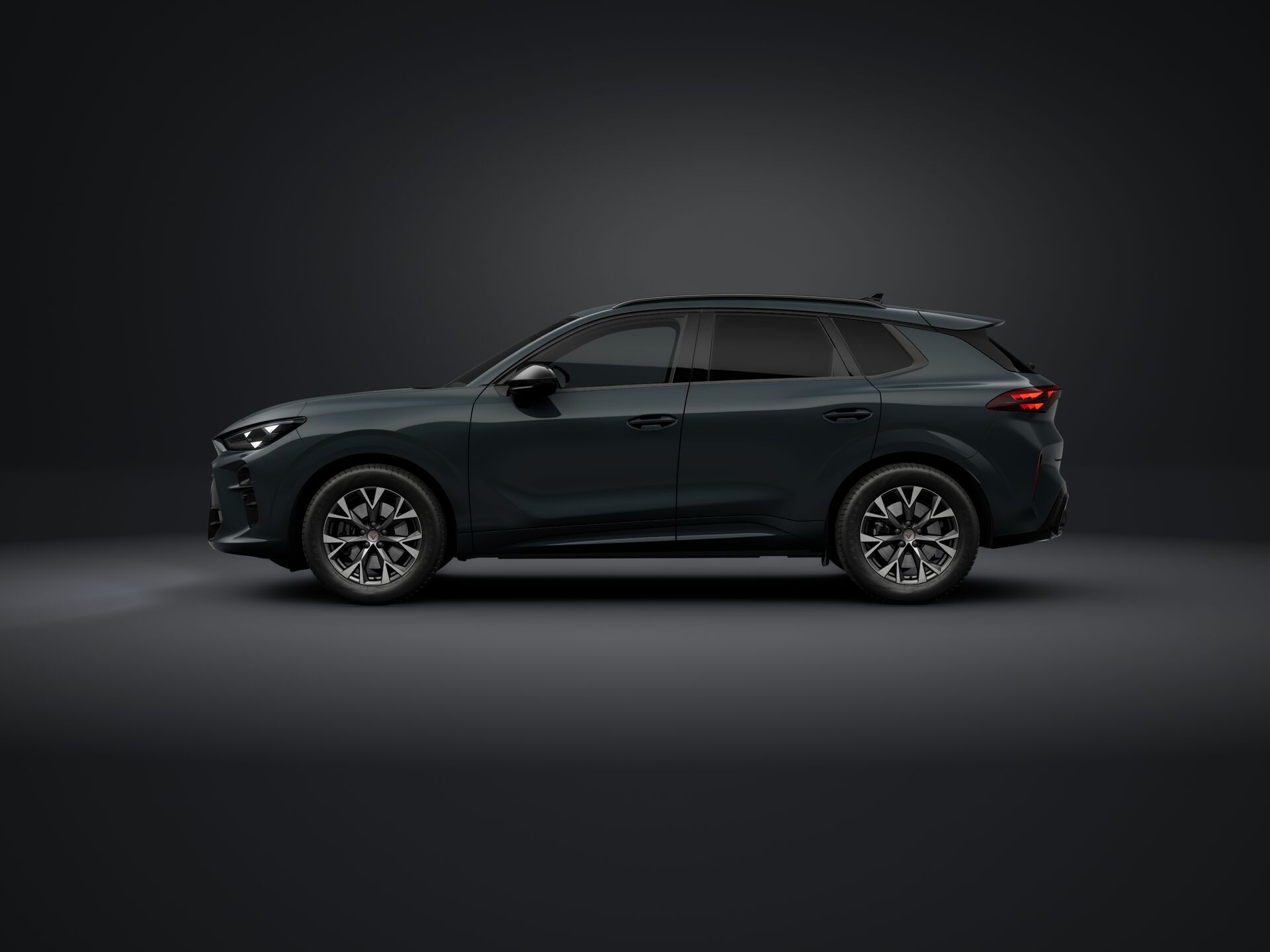 Obrázek Terramar 2.0 TSI 204k DSG 4WD