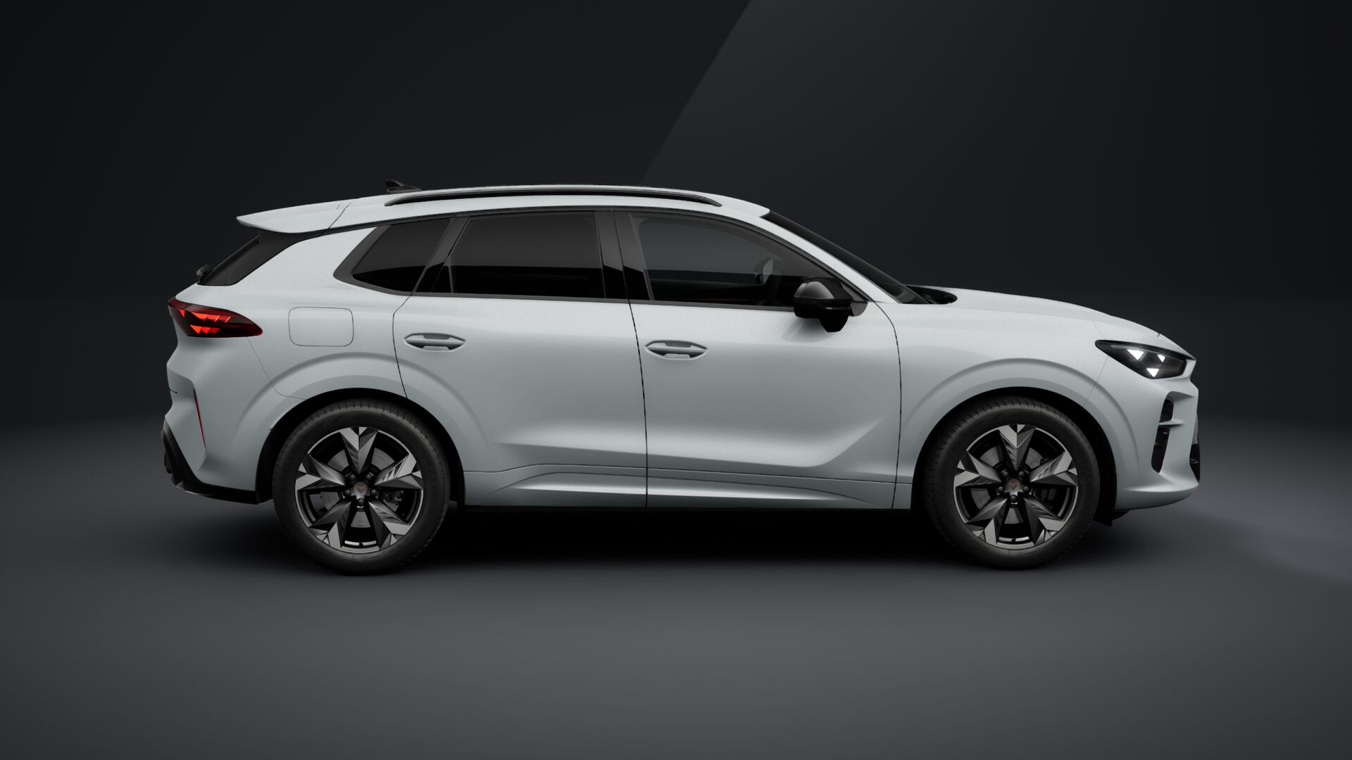 Obrázek Terramar 2.0 TSI 204k DSG 4WD