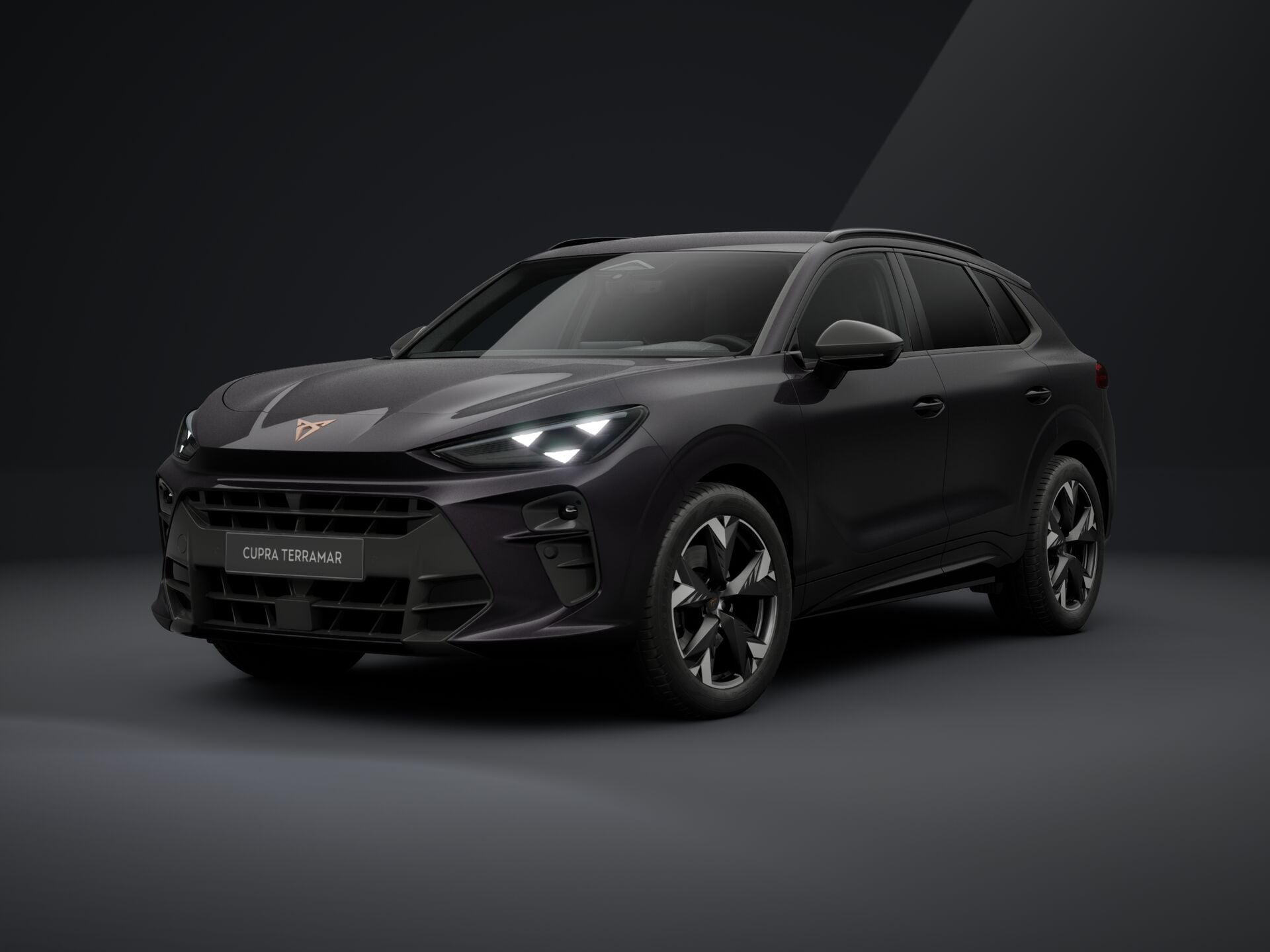 Obrázek Terramar 2.0 TSI 204k DSG 4WD