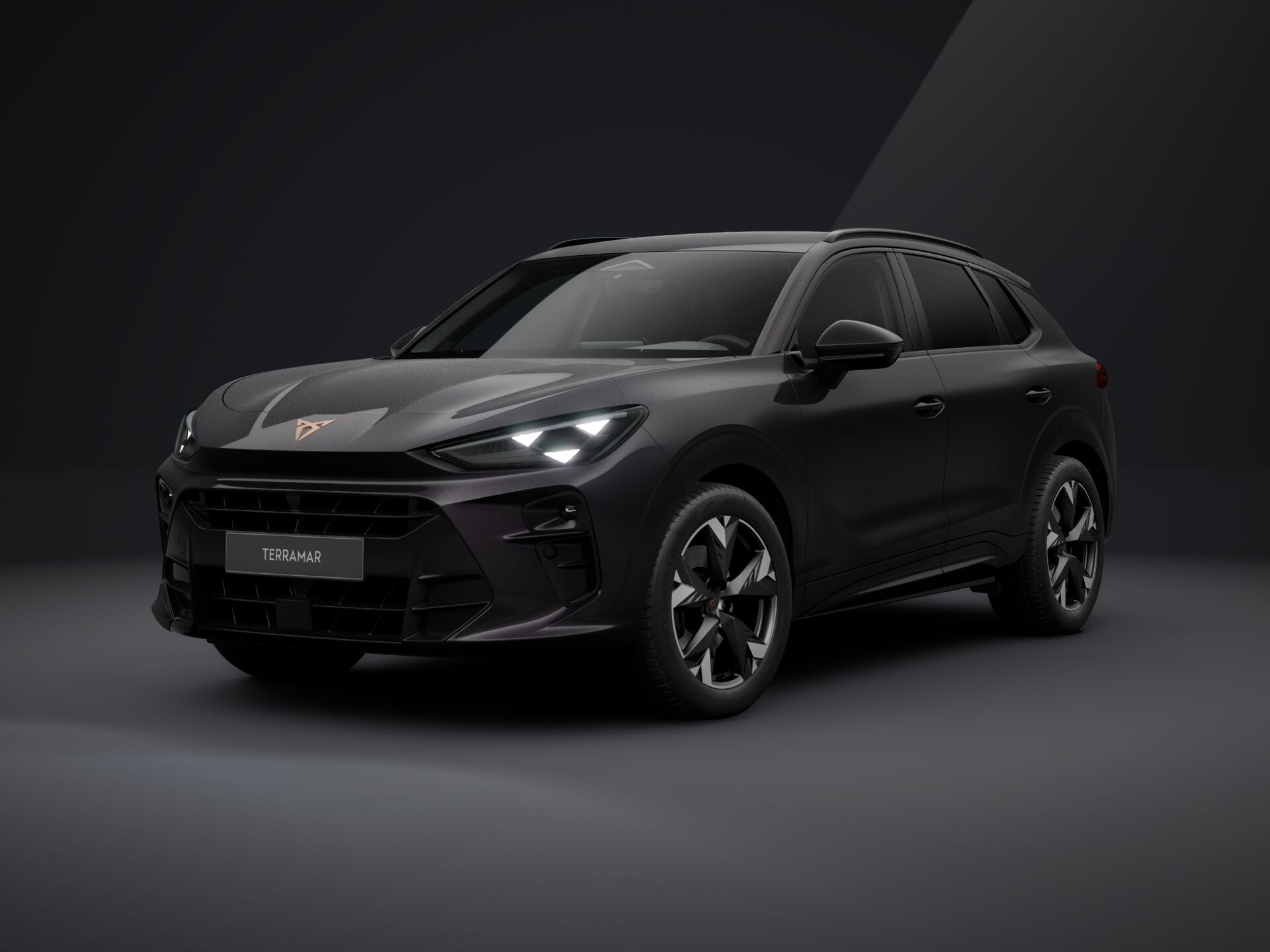 Obrázek Terramar 2.0 TSI 204k DSG 4WD