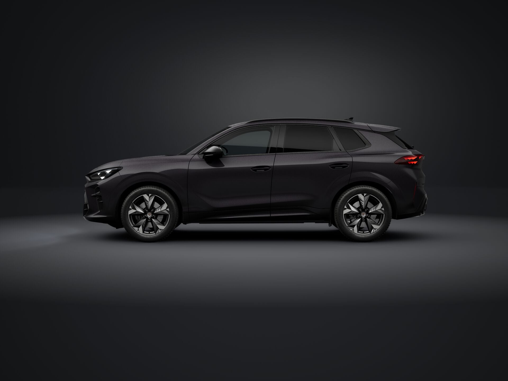 Obrázek Terramar 2.0 TSI 204k DSG 4WD