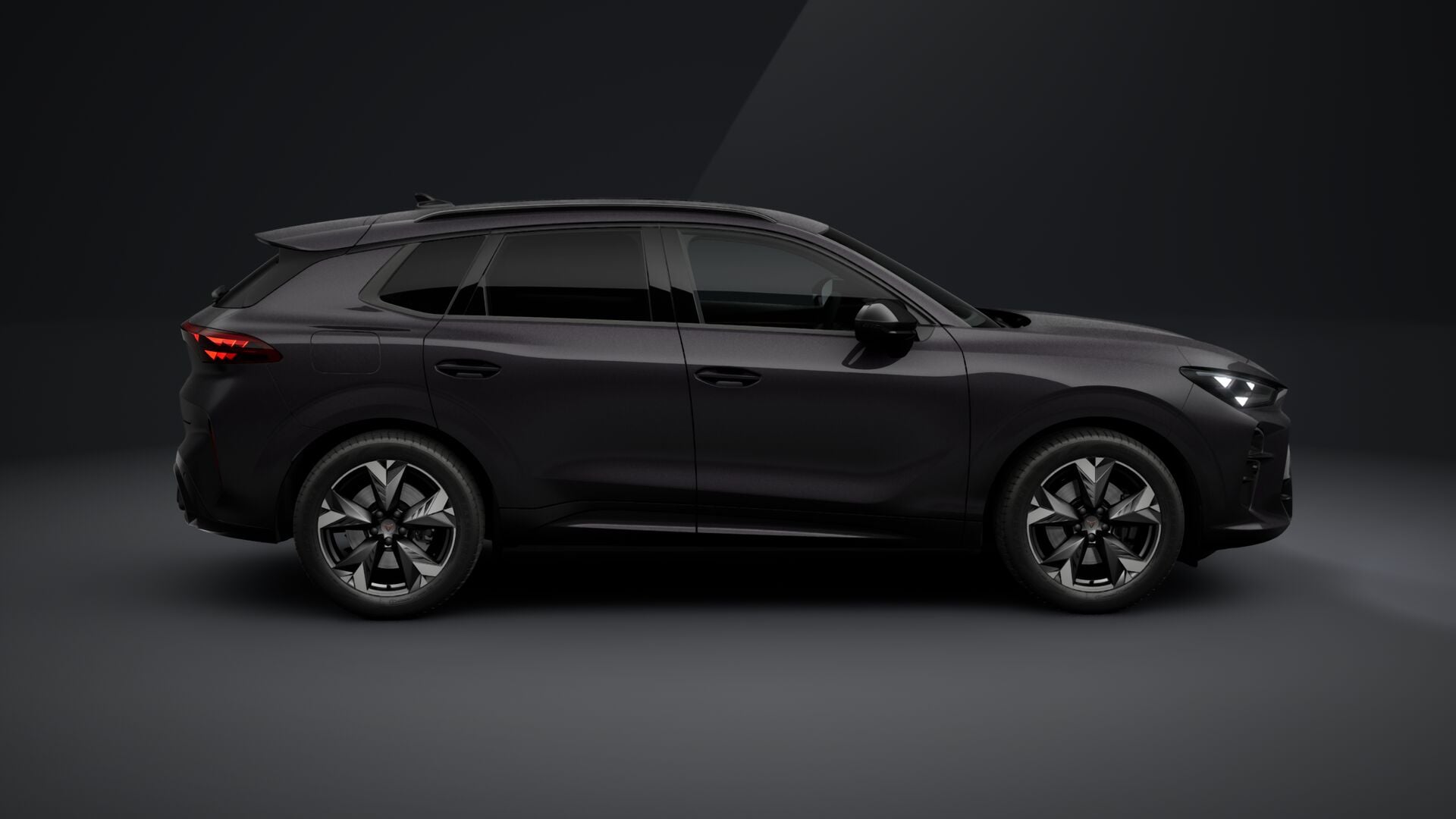 Obrázek Terramar 2.0 TSI 204k DSG 4WD