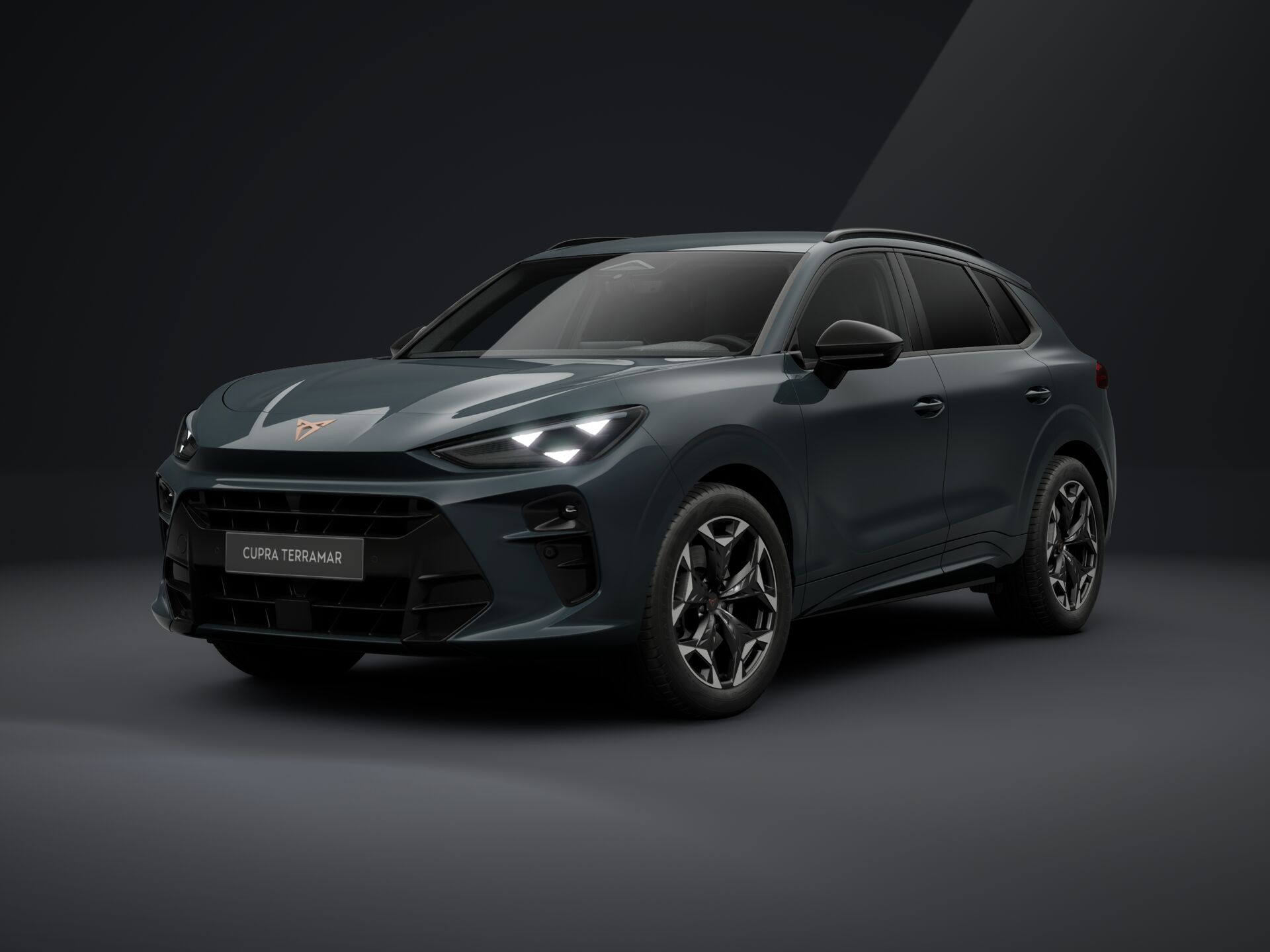 Obrázek Terramar 2.0 TSI 204k DSG 4WD