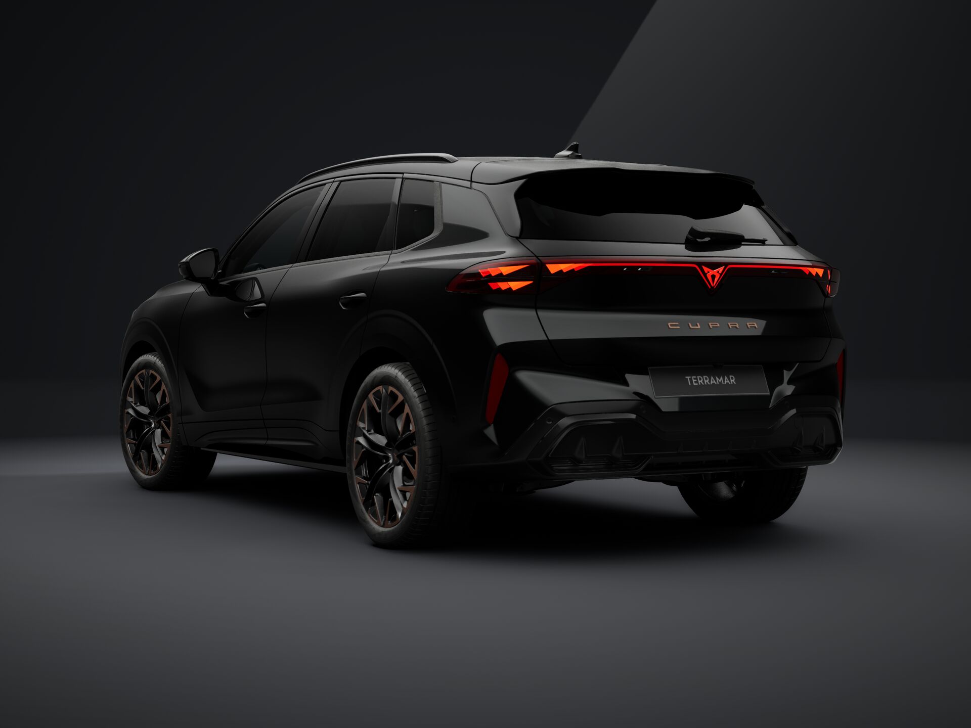 Obrázek Terramar 2.0 TSI 204k DSG 4WD