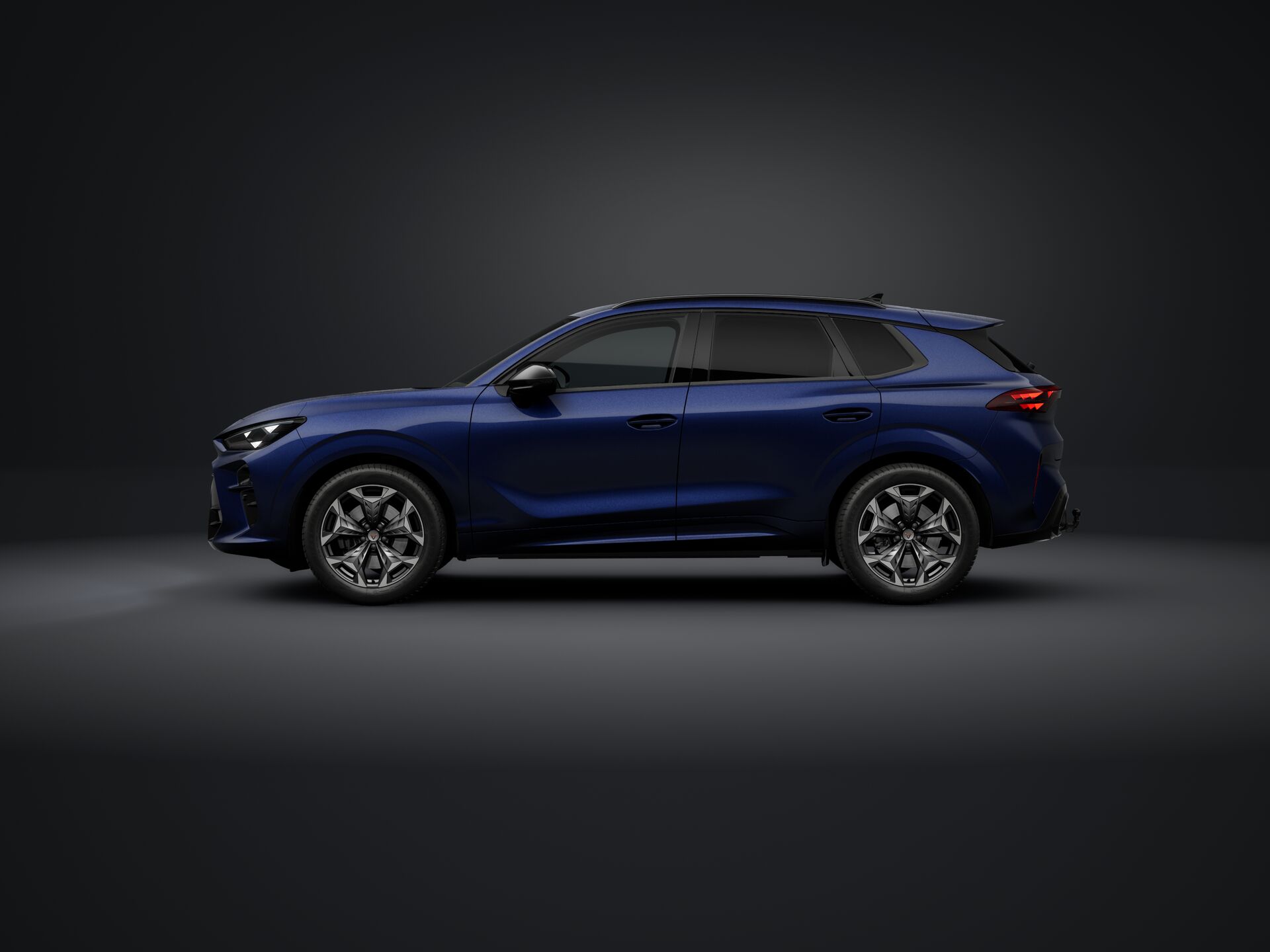 Obrázek Terramar 2.0 TSI 204k DSG 4WD