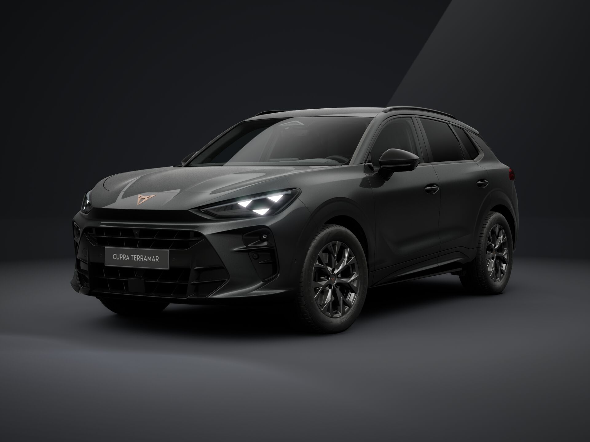 Obrázek Terramar 2.0 TSI 204k DSG 4WD