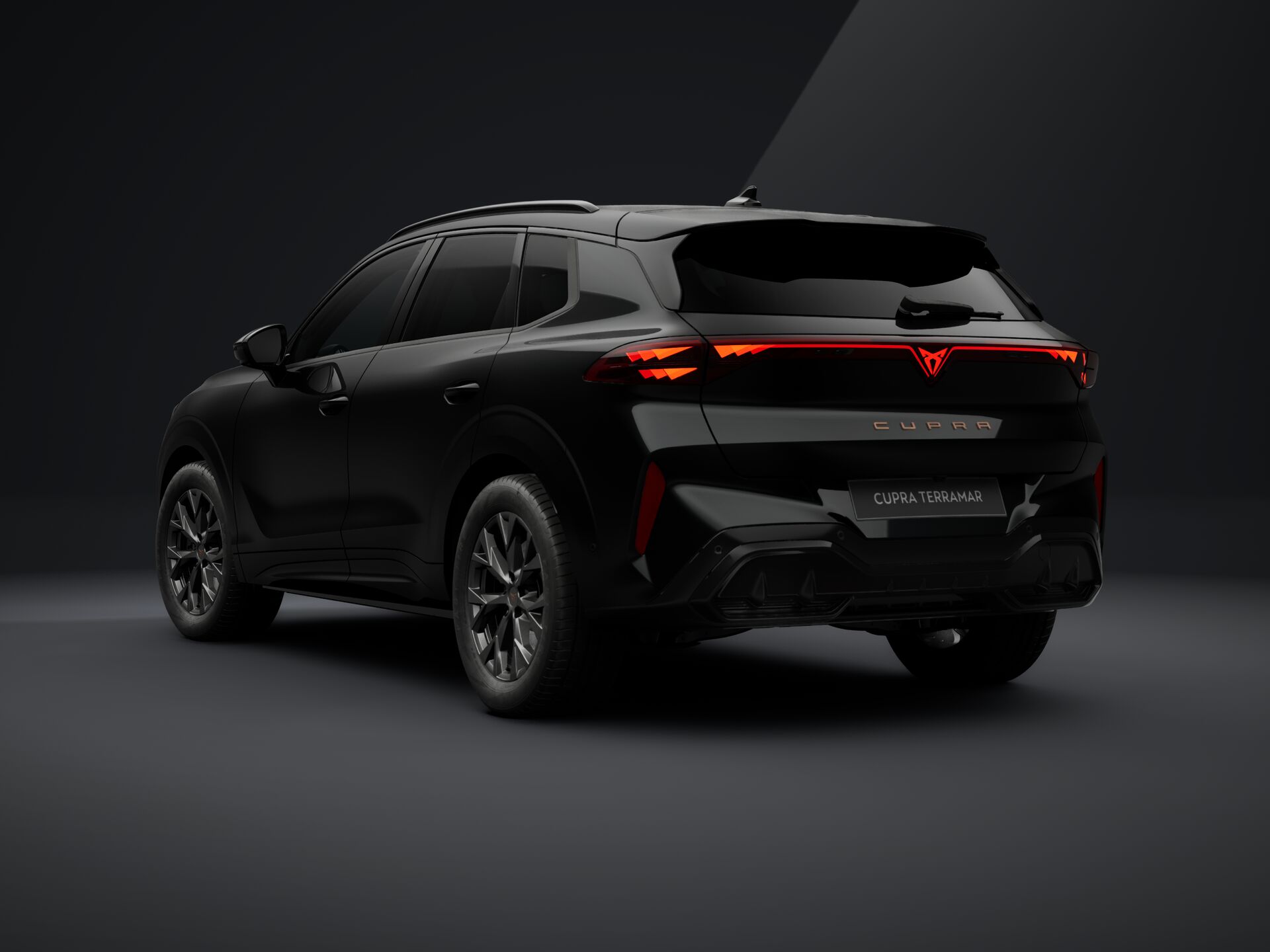 Obrázek Terramar 2.0 TSI 204k DSG 4WD