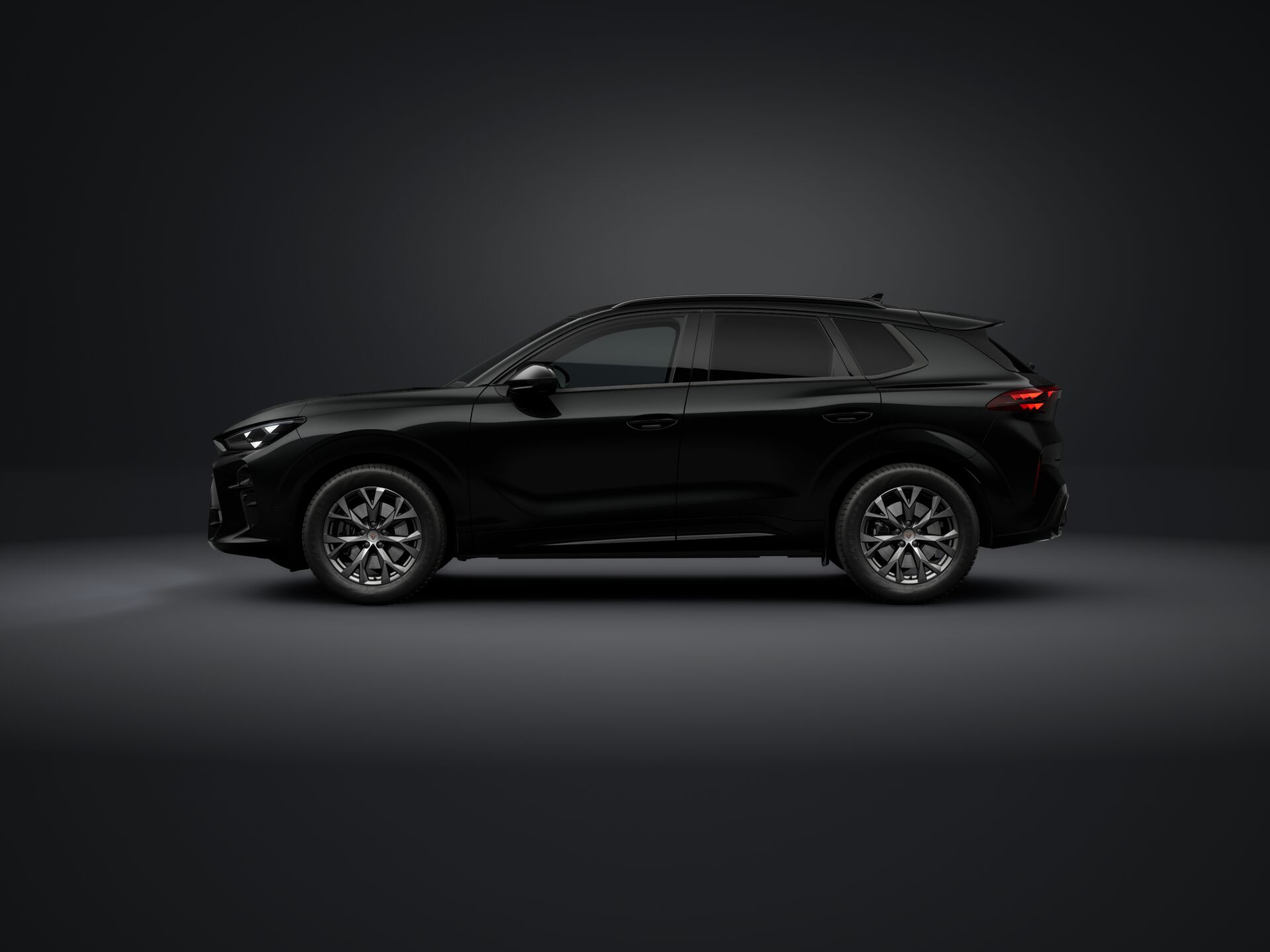 Obrázek Terramar 2.0 TSI 204k DSG 4WD