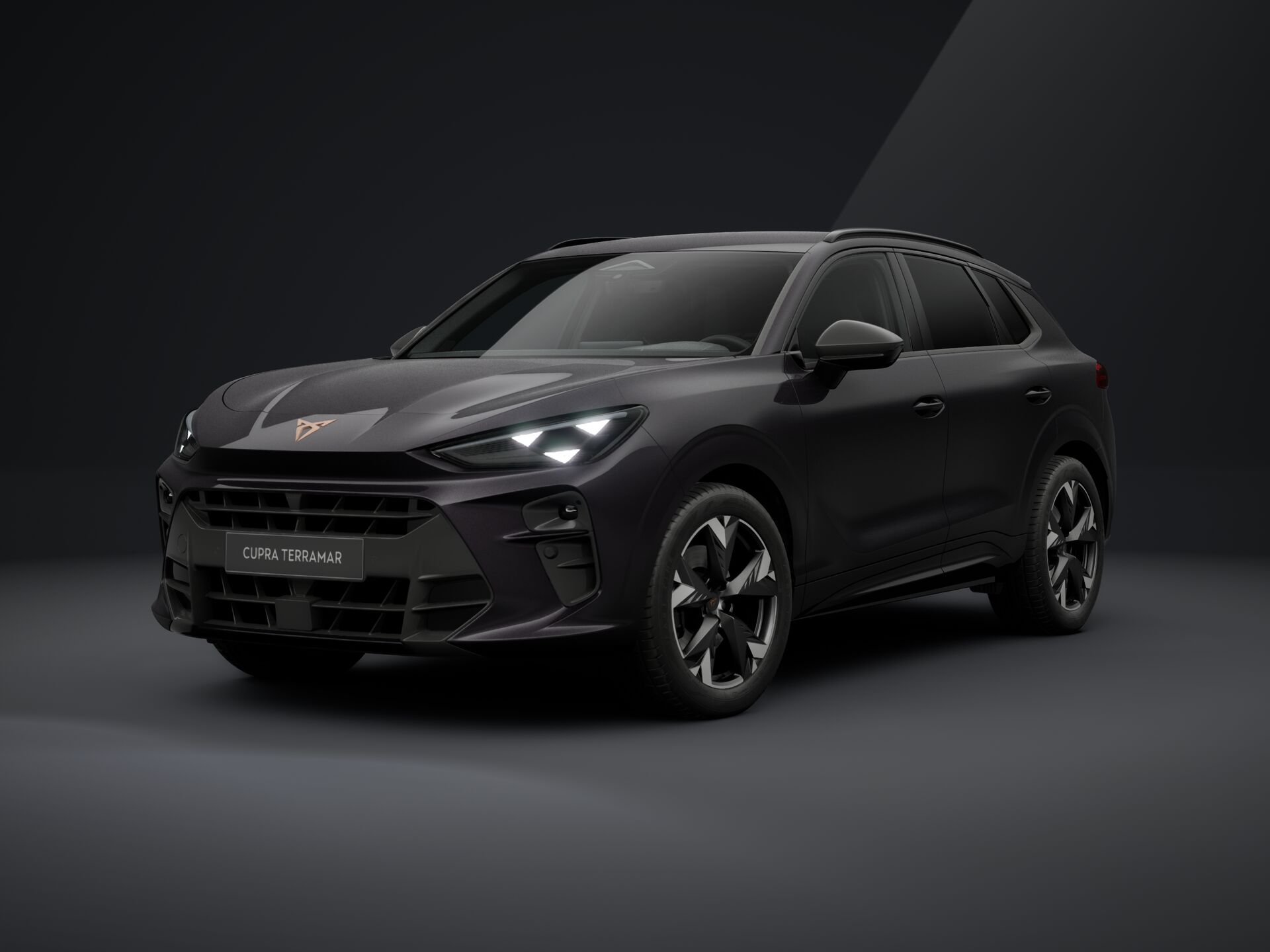 Obrázek Terramar 2.0 TSI 204k DSG 4WD
