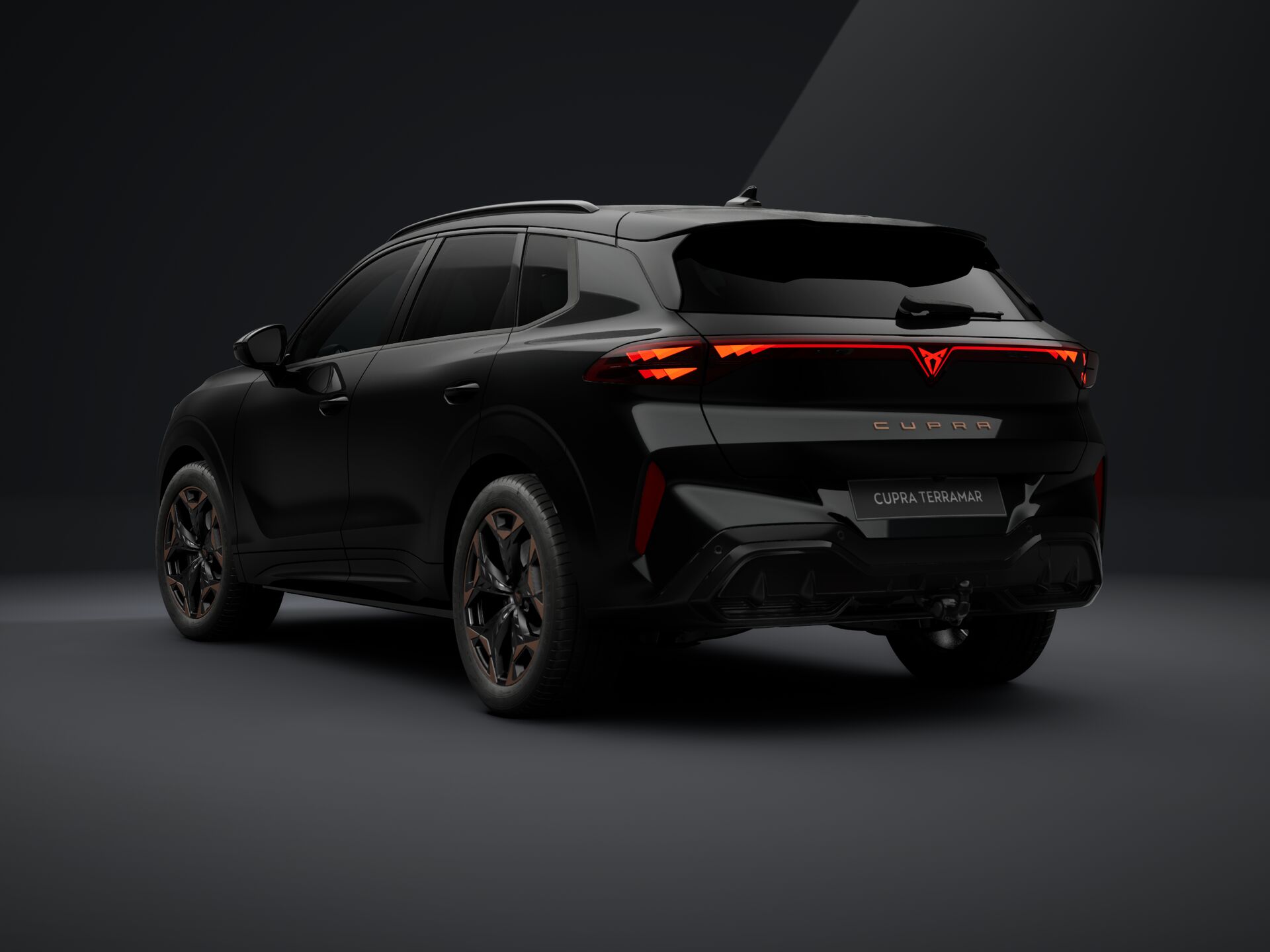 Obrázek Terramar 2.0 TSI 204k DSG 4WD