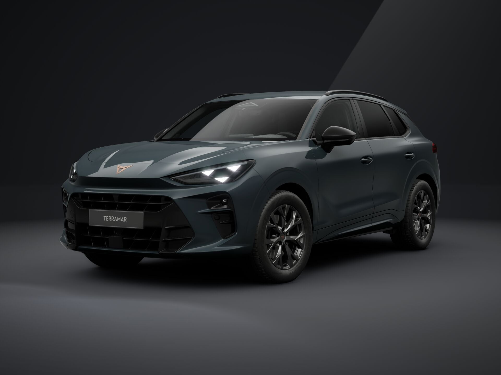 Obrázek Terramar 2.0 TSI 204k DSG 4WD