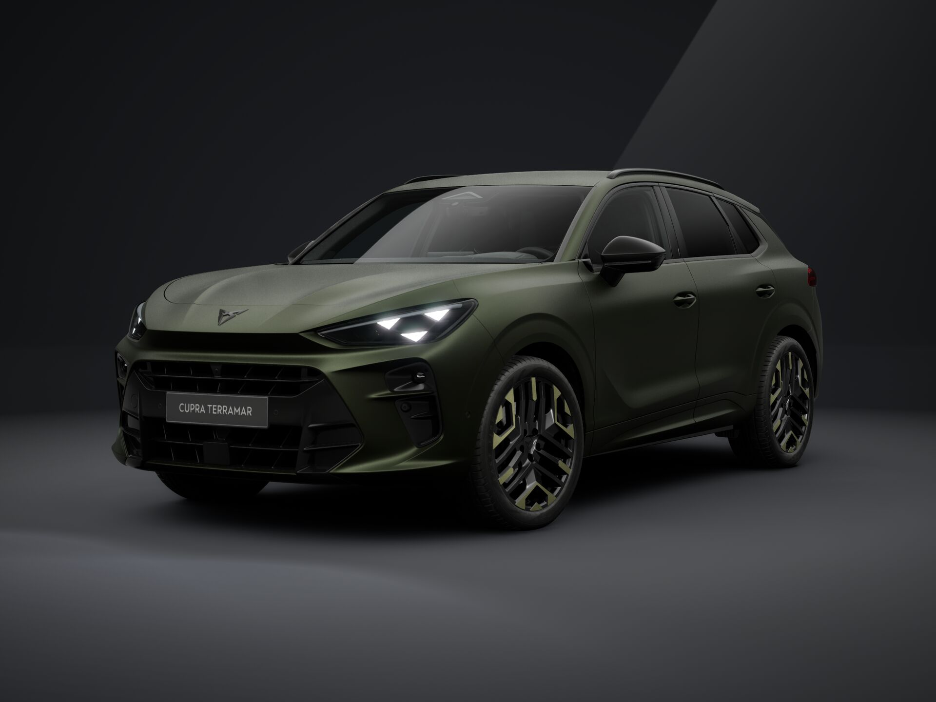 Obrázek Terramar VZ Tribe 2.0 TSI 265k DSG 4WD