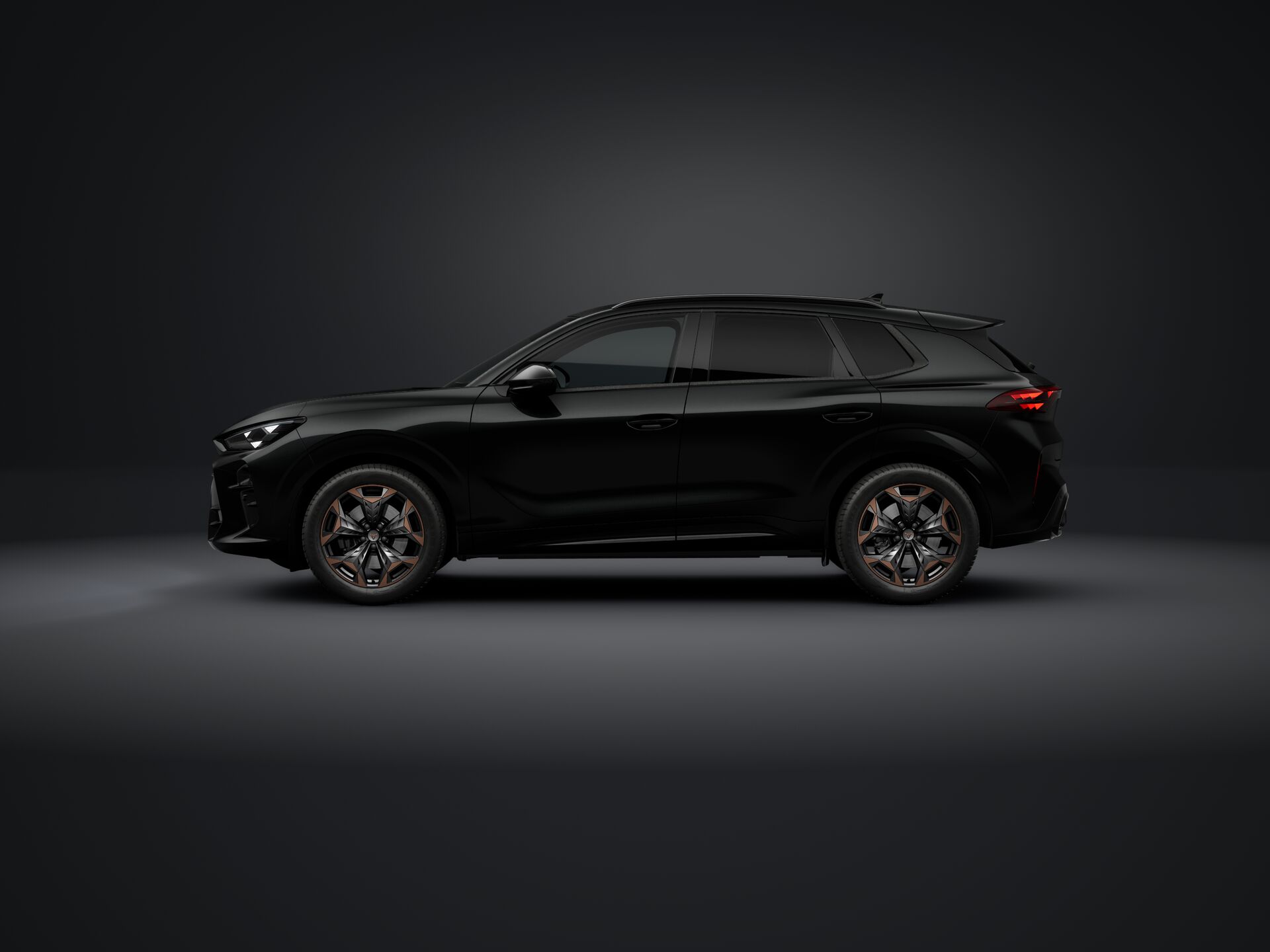 Obrázek Terramar 2.0 TSI 204k DSG 4WD