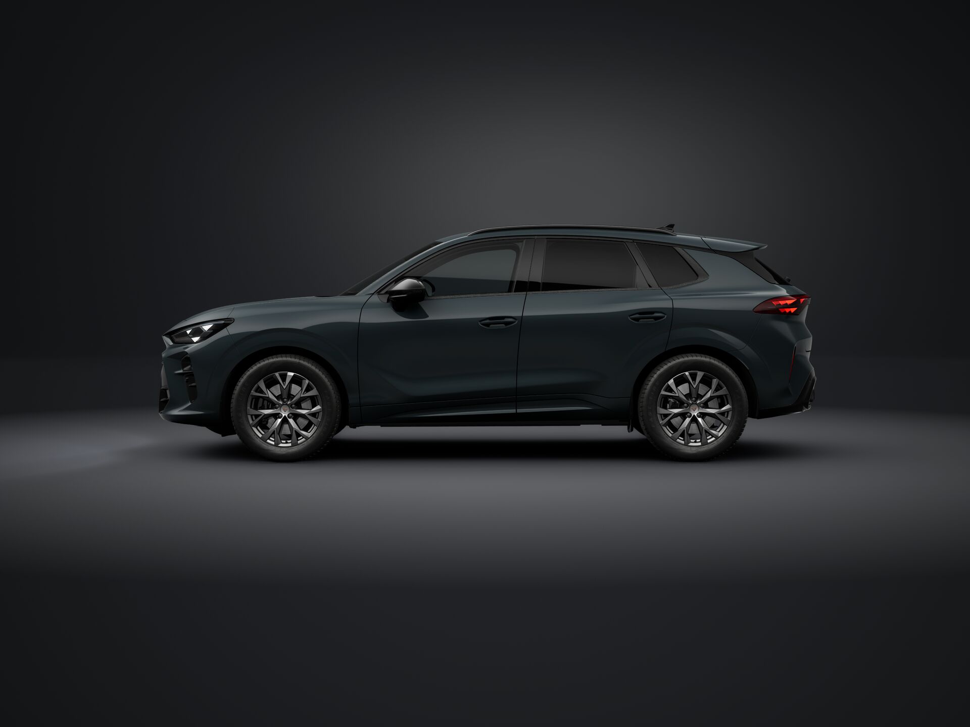 Obrázek Terramar 2.0 TSI 204k DSG 4WD