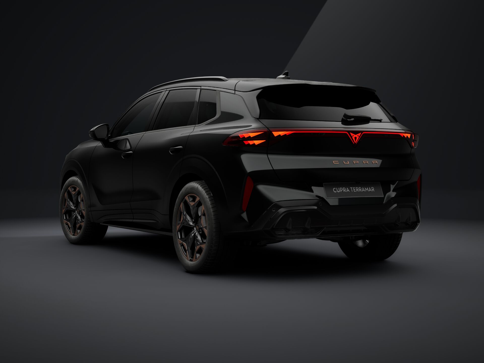 Obrázek Terramar 2.0 TSI 204k DSG 4WD