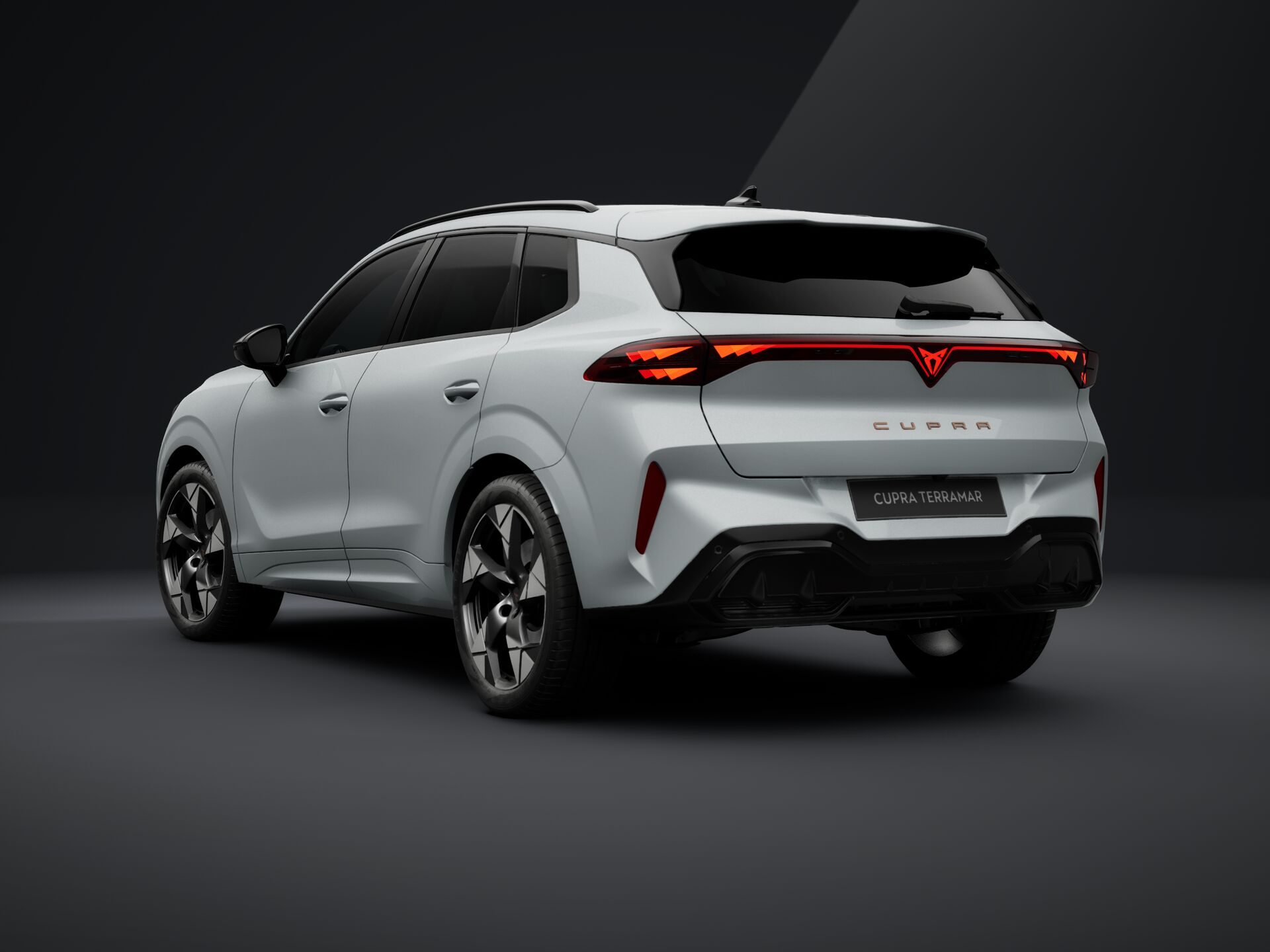 Obrázek Terramar 2.0 TSI 204k DSG 4WD