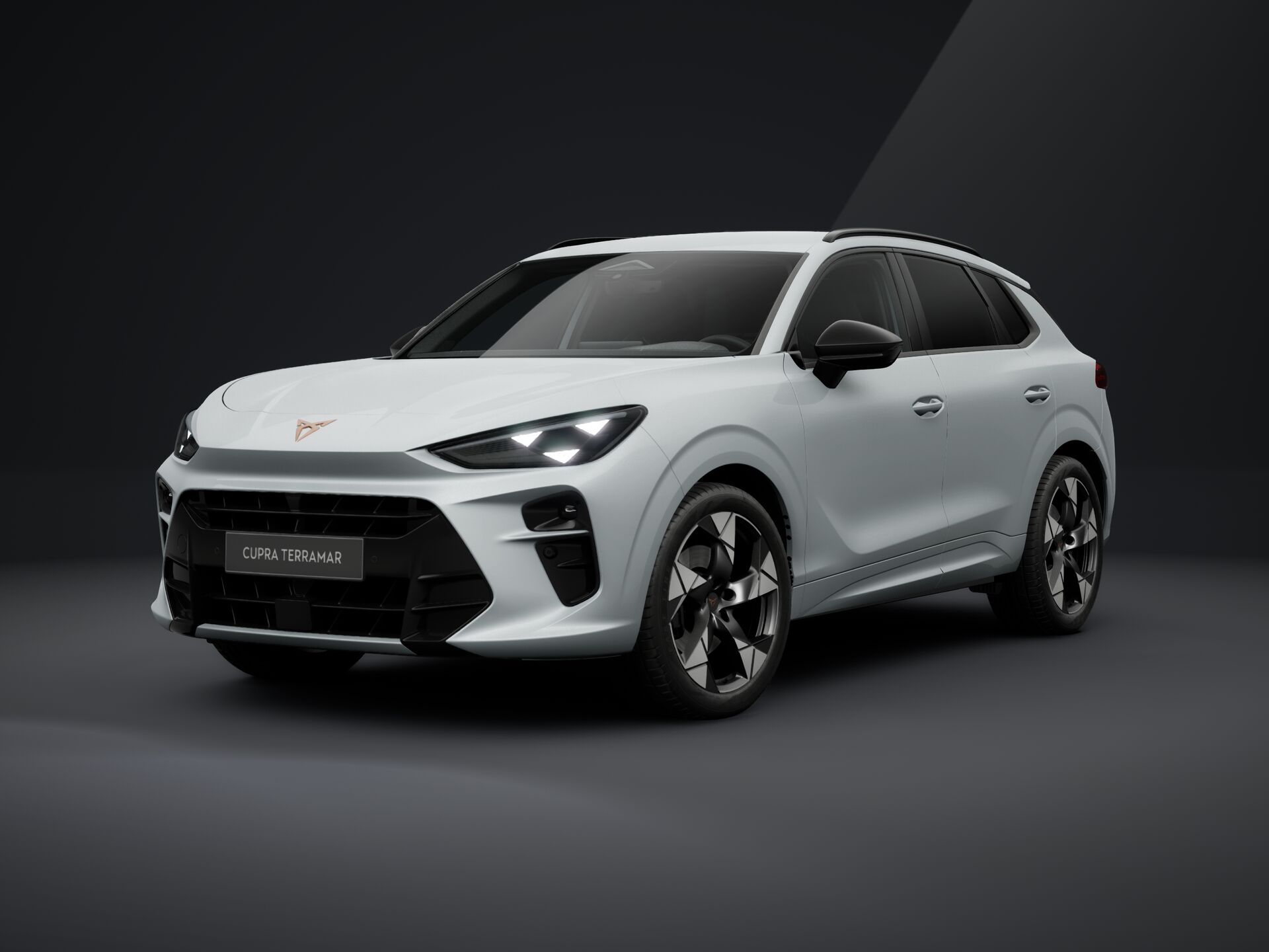 Obrázek Terramar 2.0 TSI 204k DSG 4WD