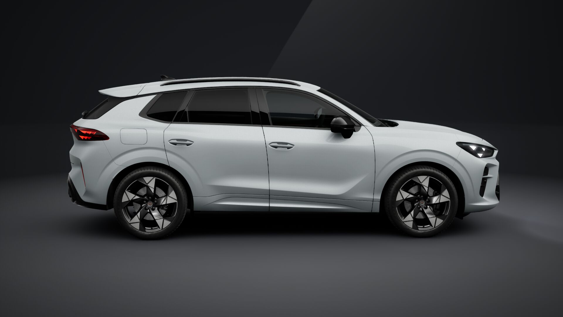 Obrázek Terramar 2.0 TSI 204k DSG 4WD