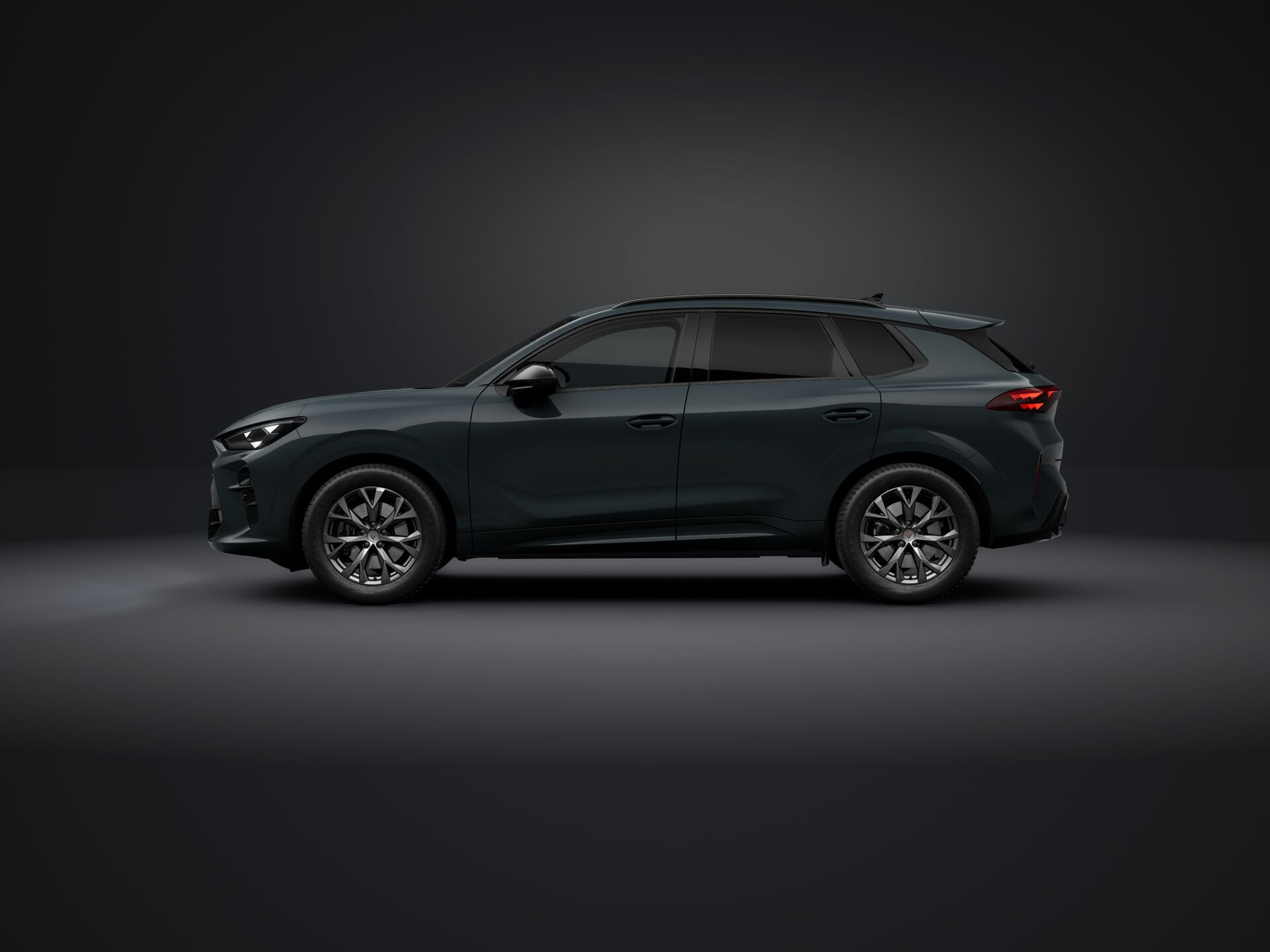 Obrázek Terramar 2.0 TSI 204k DSG 4WD